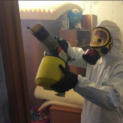 Уничтожение клопов в квартире. Невельск